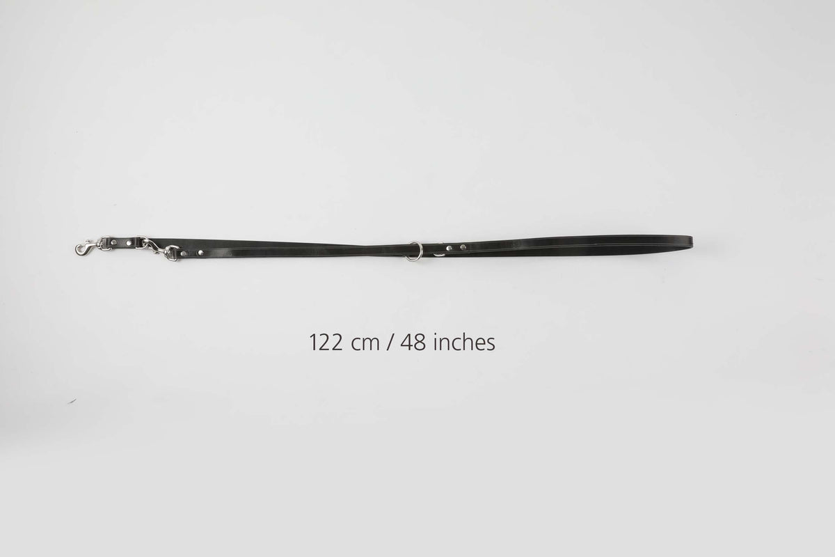 Long Dog Leashes in black leather