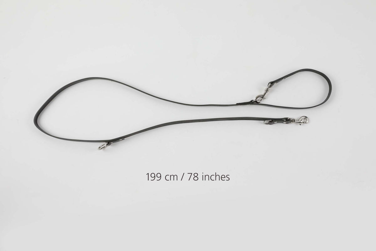 Long Dog Leashes in black leather
